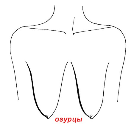 Женские груди - огурцы